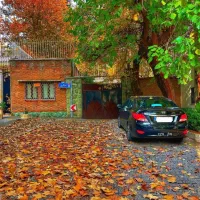 اجاره دربستی ۲۲۰ متر ولیعصر بر خیابان