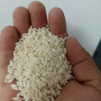 برنج کامفیروز به شرط پخت