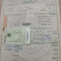 دنا پلاس 5دنده صفر خشک