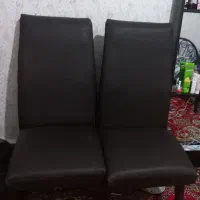 میزناهارخوری