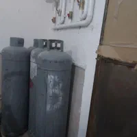 کپسول پرسی و بوتان بزرگ مناسب باغ و ویلا