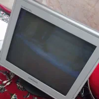 سالم هست