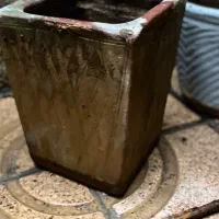 گلدانهای سفالی توافقی|گل و گیاه طبیعی|تهران, مهرآباد جنوبی|دیوار
