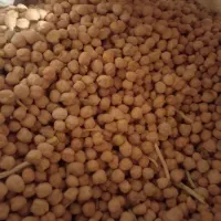 با سلام نخود فلافلی ریز وتمیز ۱۷۰ ونخود درشت ۲۲۰