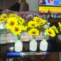 گلدان مراکشی