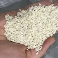 برنج ایرانی عنبربو وچمپا و کامفیروز تکی و عمده|خوردنی و آشامیدنی|بندر گناوه, |دیوار