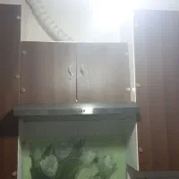 هود اخوان|هود|قم, عمار یاسر|دیوار