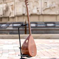 باغلاماییلماز حرفه ای ماهگونی