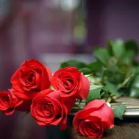 گمشده