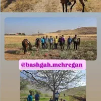 مجتمع تفریحی سوارکاری مهرگان دورود