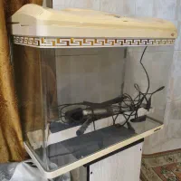 آکواریوم شرکتی ماهیران اصلی|ماهی|تهران, جنت‌آباد جنوبی|دیوار