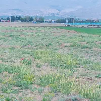 زمین روستای کله دشت