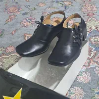 چند مدل کفش نو نو...