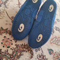 کفش کشتی در حد نو|کیف، کفش، کمربند|سلماس, |دیوار