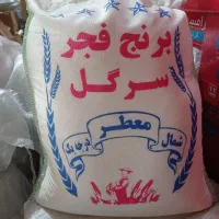 جشنواره فروش برنج سرلاشه طارم به قیمت سر شالیزار|خوردنی و آشامیدنی|اراک, |دیوار