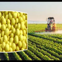 کود کشاورزی