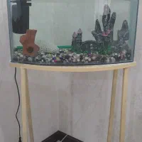 اکواریوم شیشه منحنی با پایه