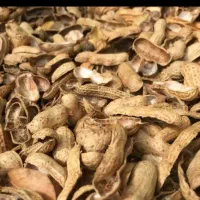 پوست بادام زمینی اسیاب شده