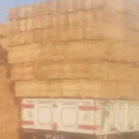 پرس کاه جو بعلاوه کلزا داخل زمین موجود
