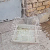 یک عدد قفس