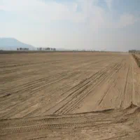 100 هکتار زمین کشاورزی با چاه عمیق