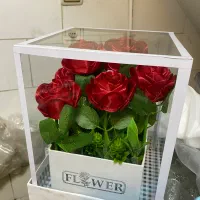 محدود کار اخر فقط ۲/۴۸۰