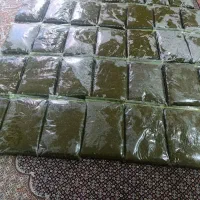 سبزی رامهرمز|خوردنی و آشامیدنی|رامهرمز, |دیوار