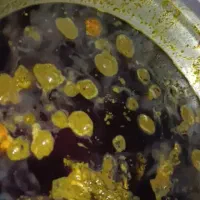 خوردنی|خوردنی و آشامیدنی|پرند, فاز ۵|دیوار