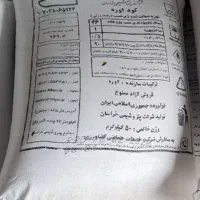 فروش کود سفید