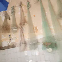 تورماهیگیری بدون واسطه|ماهیگیری|خرم‌آباد, |دیوار