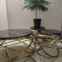 میزعسلی تمیز.گل آپارتمانی