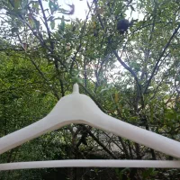 چوبکار لباس