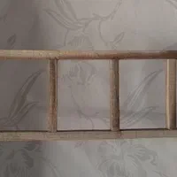 تاب ونردبان بازی پرندگان وهمستروآبخوری مخصوص همستر|لوازم جانبی حیوانات|سبزوار, کاشفی شمالی (دادگستری)|دیوار