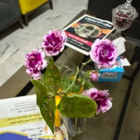 استخدام مشاور