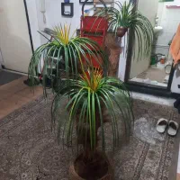 گل مصنوعی باگلدون