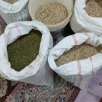 لوبیا و ماش