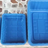 تعدادی ظرف قارچ بدلیل جابجایی بفروش میرسد