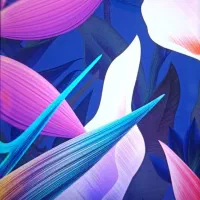 فروش گوشی هواوی|موبایل|پلدختر, |دیوار