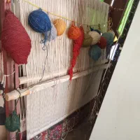 فروش دارقالی