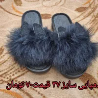 تعدادی کفش و کیف|کیف، کفش، کمربند|دزفول, |دیوار