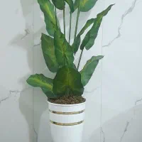 گل مصنوعی|گل مصنوعی|پاکدشت, پاکدشت (مامازند)|دیوار