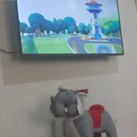 تلویزیون زلموند ۵۵ اینج