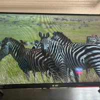 تلوزیون با ابعاد ۲۶ تا ۴۹ مخصوص (دوربین و باغ)