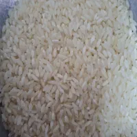 برنج خارجی دانه بلند با نیمدانه سونا ماسوری|عمده‌فروشی|شادگان, |دیوار