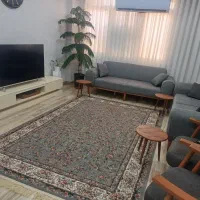 درختچه طبیعی