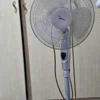 پنکه مایدیا