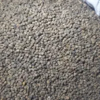 فروش ماشک ( گورگورو)