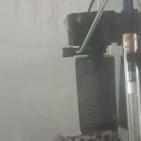 اکواریوم ب همراه ۳ ماهی و ۴قفس ۱۰۳۳|ماهی|تهران, سبلان (لشگر)|دیوار