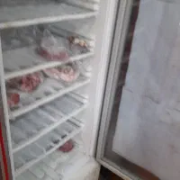 یخچال فریزرایستاده|فروشگاه و مغازه|اندیمشک, |دیوار