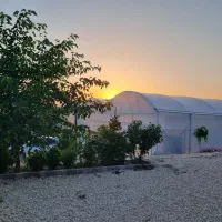 باغ ویلا به همراه گلخانه|فروش خانه و ویلا|همدان, |دیوار